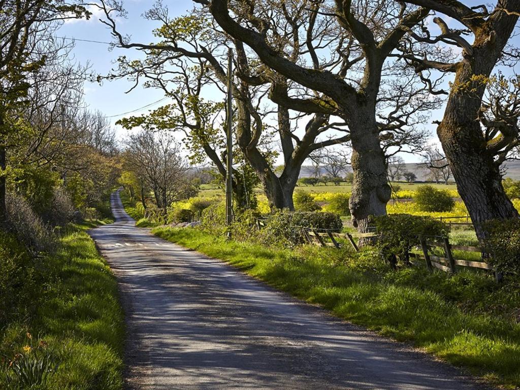 Lily Hill Farm Bed & Breakfast Barnard Castle Luaran gambar
