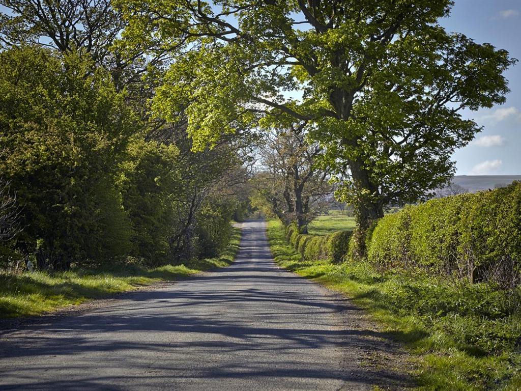 Lily Hill Farm Bed & Breakfast Barnard Castle Luaran gambar